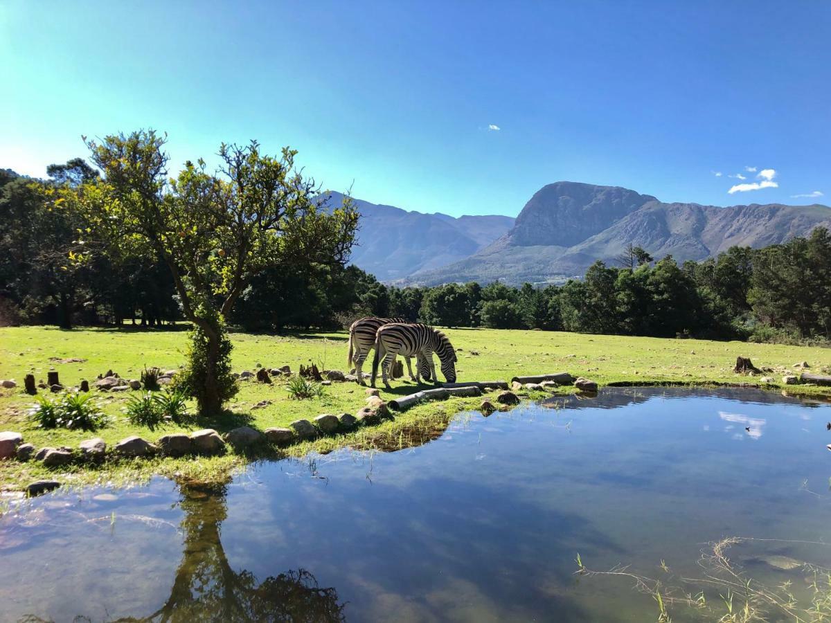 Franschhoek Country Cottages Exterior photo